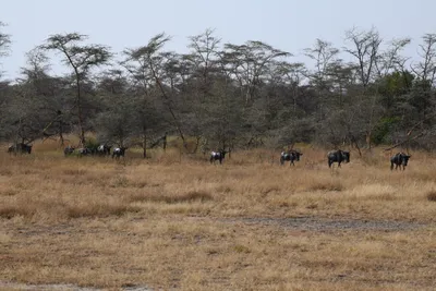 DSC_3413 (Large).JPG